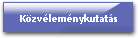 Közvéleménykutatás