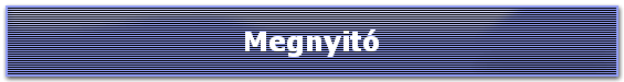 Megnyitó