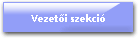Vezetői szekció