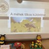 A méhekkel ismerkedett a 2.c1 osztály