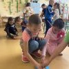 A méhekkel ismerkedett a 2.c1 osztály