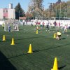 Intézményi Bozsik-program Mezőberény Körzet Őszi Grassroots Fesztivál Mezőberényben