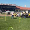 Intézményi Bozsik-program Mezőberény Körzet Őszi Grassroots Fesztivál Mezőberényben