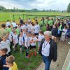 INTÉZMÉNYI BOZSIK-PROGRAM TAVASZI GRASSROOTS FESZTIVÁL