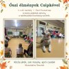 Csipke, a terápiás kutya hozott őszi varázslatot az 1.c-d2 osztályba