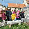 Emlékművek nyomában - Digitális Témahét a 3.c-ben