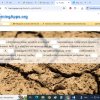 Fenntarthatósági Témahét az alsó tagozaton – Élményekkel, tanulással és kreativitással telve