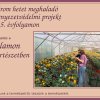 Három hetet meghaladó környezetvédelmi projekt az 5. évfolyamon