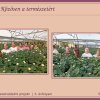 Három hetet meghaladó környezetvédelmi projekt az 5. évfolyamon