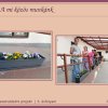 Három hetet meghaladó környezetvédelmi projekt az 5. évfolyamon