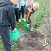 „Kertész leszek, fát nevelek…” Digitális témahét a 2.c osztályban