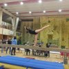 Szép eredmények a Torna Diákolimpia országos elődöntőjén