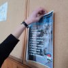 Világ Legnagyobb Tanórája – Velünk élő állatok